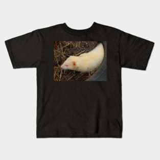 Albino Ferret Kids T-Shirt